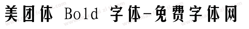 美团体 Bold 字体字体转换